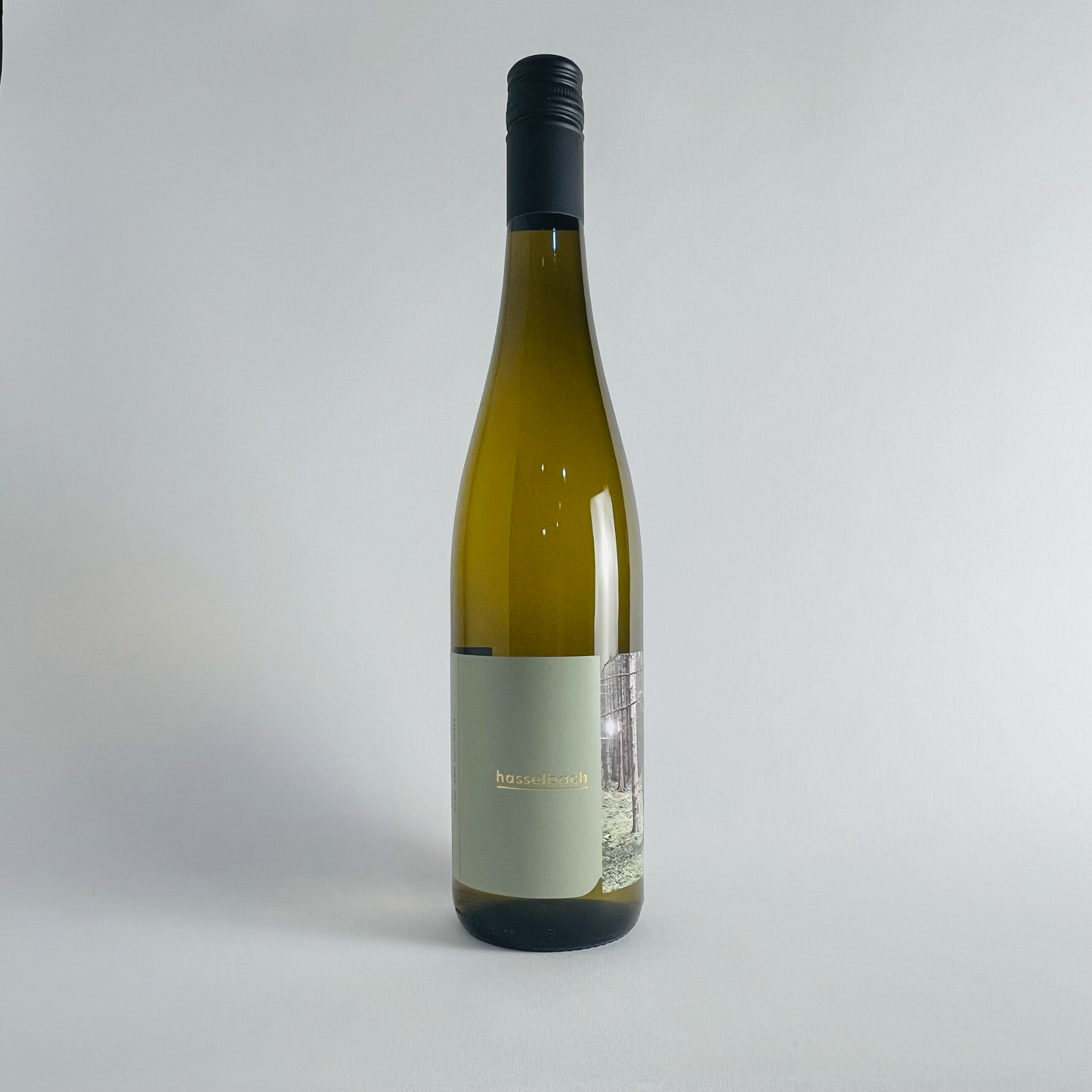 Gunderloch Hasselbach Dry  Riesling Rheinhessen 2022 Trocken