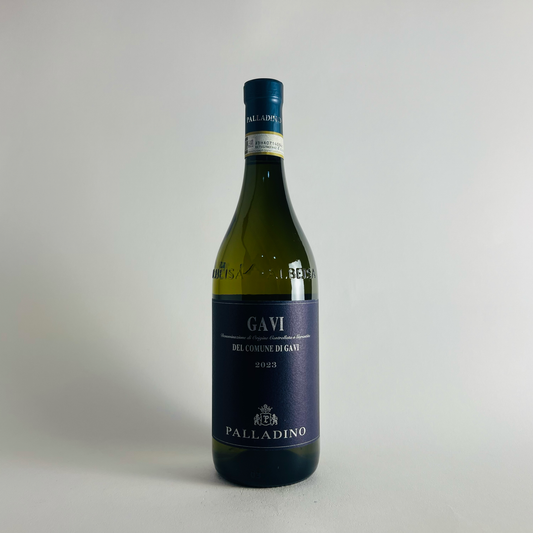 Palladino Gavi Di Gavi 2023